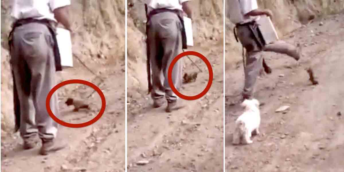 En esta secuencia se evidencia los golpes a un canino que tenía menos de un mes de nacido en Cajamarca.